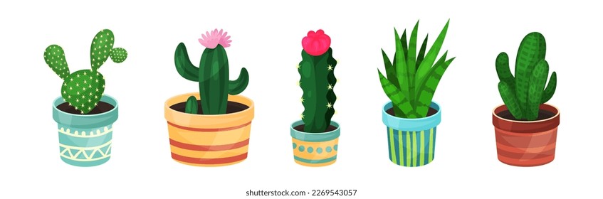 Green Indoor Garden Plants Growing Ceramic Pots Vector Set