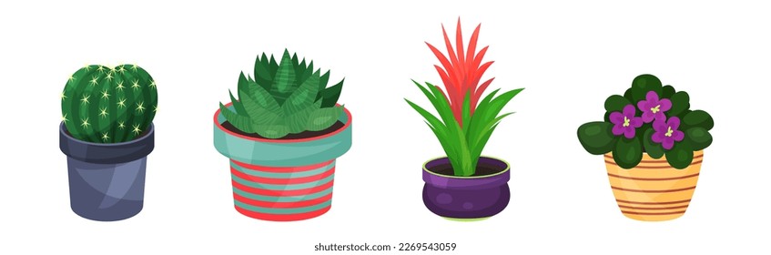 Green Indoor Garden Plants Growing Ceramic Pots Vector Set