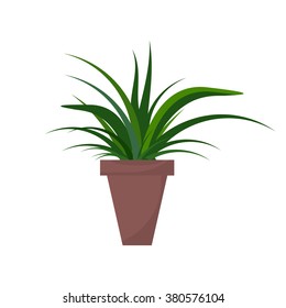 Green indoor leafy flat style houseplant in pot vector icon. 