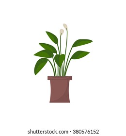Green indoor leafy flat style houseplant in pot vector icon. Vector.