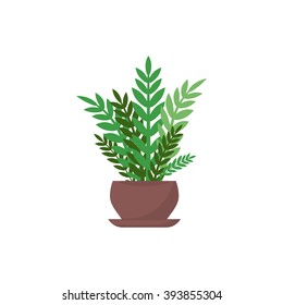 Green indoor leafy flat style house plant in pot vector icon. 