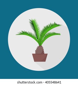 Green indoor leafy flat style house plant in pot vector icon. 