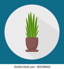  Green indoor leafy flat style house plant in pot vector icon.