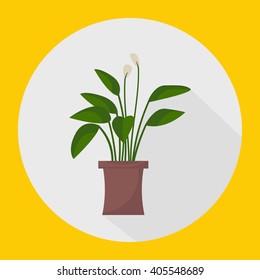 Green indoor leafy flat style house plant in pot icon. Vector.