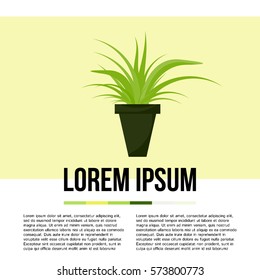 Green indoor leafy flat style houseplant in pot vector icon.