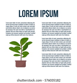 Green indoor leafy flat style ficus tree in pot vector icon. Flat design poster.