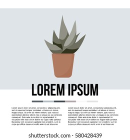 Green indoor leafy flat style houseplant in pot vector icon. Aloe. 