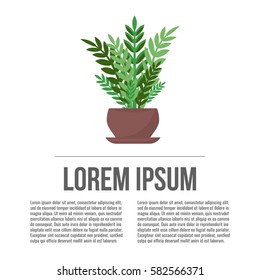 Green indoor leafy flat style houseplant in pot vector icon.
