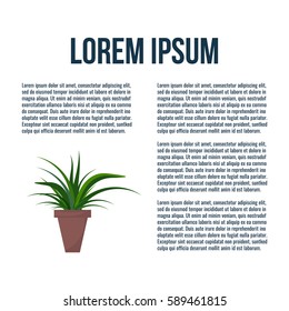 Green indoor leafy flat style houseplant in pot vector icon.