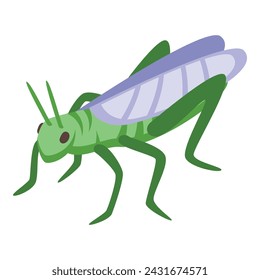 Icono de insecto verde vector isométrico. Mosca de insectos feliz. Sonríe y diviértete