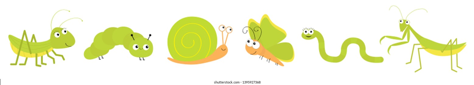 Green insect icon set line. Mantis praying, grasshopper, butterfly, caterpillar, snail, worm. Cute cartoon kawaii funny character. Smiling face. Flat design. Baby clip art White background. Vector