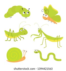 Green insect icon set. Mantis praying, grasshopper, butterfly, caterpillar, snail, worm. Cute cartoon kawaii funny character. isolated. Smiling face. Flat design. Baby clip art White background Vector