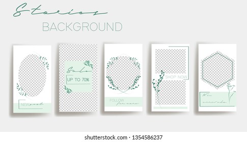 Green instagram stories frame templates. Vector background. Mockup for social media banner. Green branches layout design.