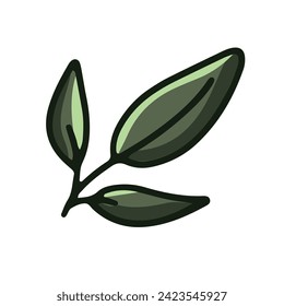 Hoja verde aislada. El vector está aislado. Sobre un fondo blanco.