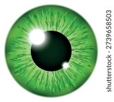 Green iris eye. Beautiful realistic eyeball icon