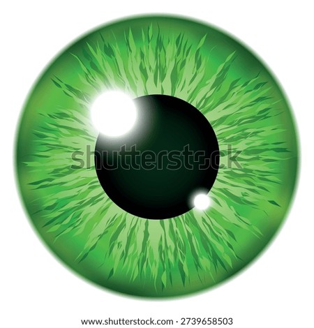 Green iris eye. Beautiful realistic eyeball icon