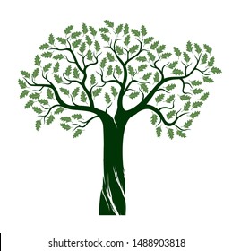 Green Isolated Oak Tree on white background. Vector Illustration and concept. Plant in garden.