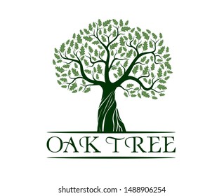 Green Isolated Oak Tree on white background. Vector Illustration and logo concept. Plant in garden.