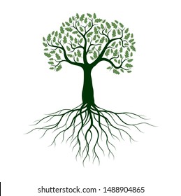 Green Isolated Oak Tree with Roots on white background. Vector Illustration and concept. Plant in garden.