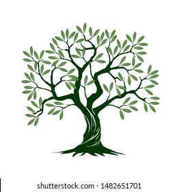 Green Isolated Olive Tree on white background. Vector Illustration and concept pictogram. Plant in garden.