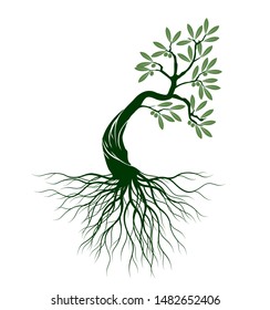 Green Isolated Olive Tree on white background. Vector Illustration and concept pictogram. Plant in garden.