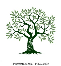 Green Isolated Olive Tree on white background. Vector Illustration and concept pictogram. Plant in garden.