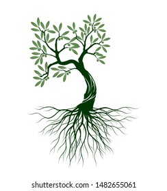 Green Isolated Olive Tree on white background. Vector Illustration and concept pictogram. Plant in garden.