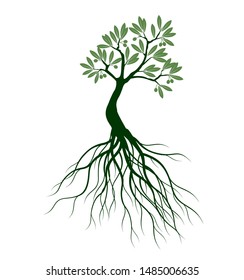 Green Isolated Olive Tree on white background. Vector Illustration and concept pictogram. Plant in garden.