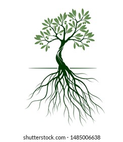 Green Isolated Olive Tree on white background. Vector Illustration and concept pictogram. Plant in garden.