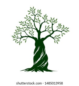 Green Isolated Olive Tree on white background. Vector Illustration and concept. Plant in garden.