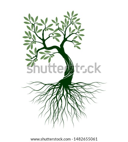 Green Isolated Olive Tree on white background. Vector Illustration and concept pictogram. Plant in garden.