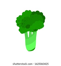 Green broсcoli isolated on white background. Design for decoration of food packaging. Vector illustration of a fresh vegetable in a flat style.