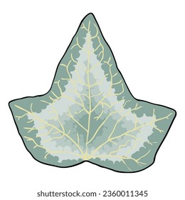 Hojas perpendiculentas verdes, dibujo de la mano verde de las hojas. Vino botánico escalonado floral de marfil. Vector.