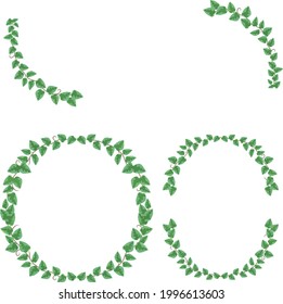 Green ivy frame for vector data