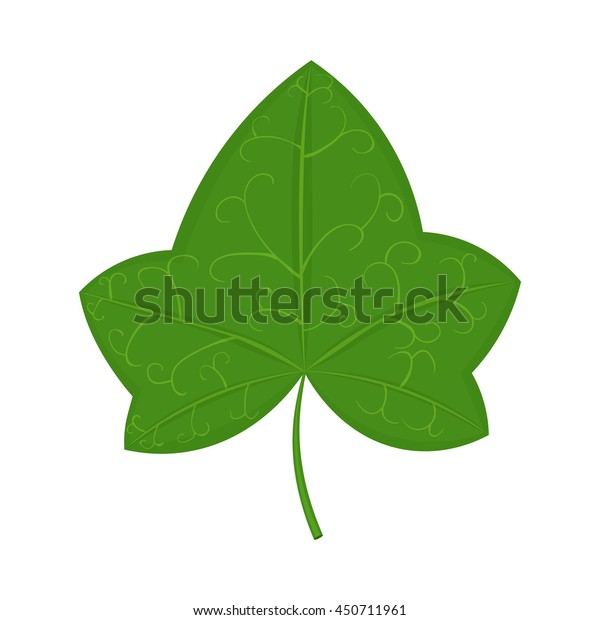 Green Ivy Leaf Vector Illustration Isolated Stock Vector (Royalty Free