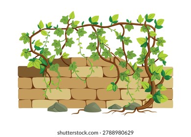 green ivy leaves and tree branches on ancient stone wall graphic element