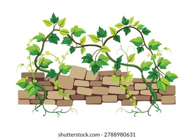 green ivy leaves and tree branches on ancient stone wall graphic element