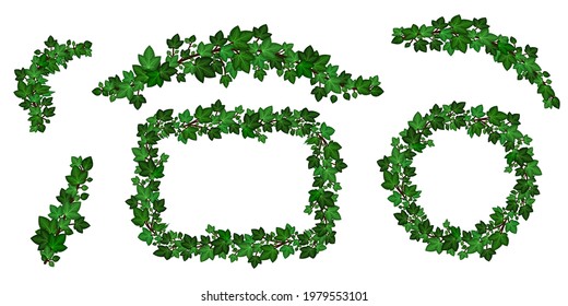 Green ivy wreath and liana branches. Set of borders and frame with summer ivy leaves garlands. Isolated on white background. Vector illustration