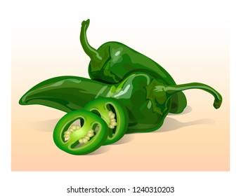 Green jalapeno pepper. Vector illustration of hot chili vegetable.