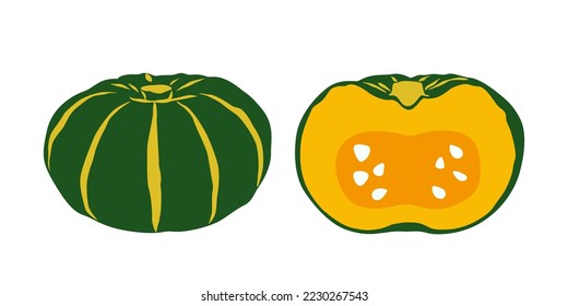 Calabaza japonesa verde aislada en fondo blanco (vector)