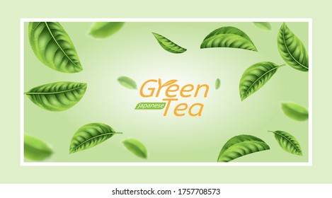 Green Japanese Tea Realistic Vector Template on light green background.