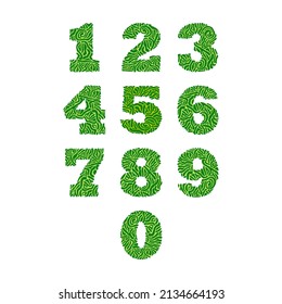 Green Jelly Number Vector Design Graphic Template for Card, T-Shirt and other Craft