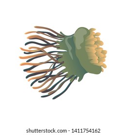 Green jellyfish close up. Vector illustration on white background.