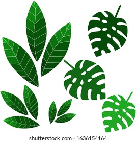 green juicy leaves, vector graphics elements for use