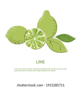 Green Juicy Lime with Green Leafs. Composition of whole Limes and Cut One. Flat vector illustration.