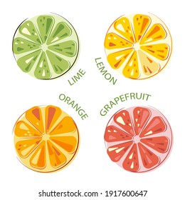 Lime Jugosa Verde, Limón, Naranjas Jugosas Sunny, Conjunto de Grapefruit entero y Fruta Cortada. Frutos de cítricos coloridos. Ilustración de vectores planos.