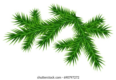 Green juicy pine branch. Isolated on white vector illustration