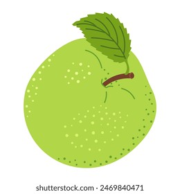 Green juicy ripe apple with green leaf. Hand drawn green apple trendy flat style isolated vector illustration. Apple harvest. Healthy vegetarian snack, fresh apple for design, infographic.