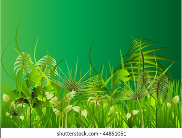 green jungle