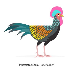 green jungle fowl gallus varius bird vector illustration